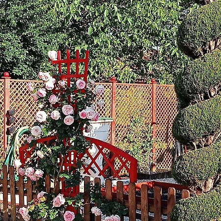 Une Pause Quelque Part Au Jardin Des Erables Et Des Niwakis Saint-Medard-de-Guizieres Εξωτερικό φωτογραφία