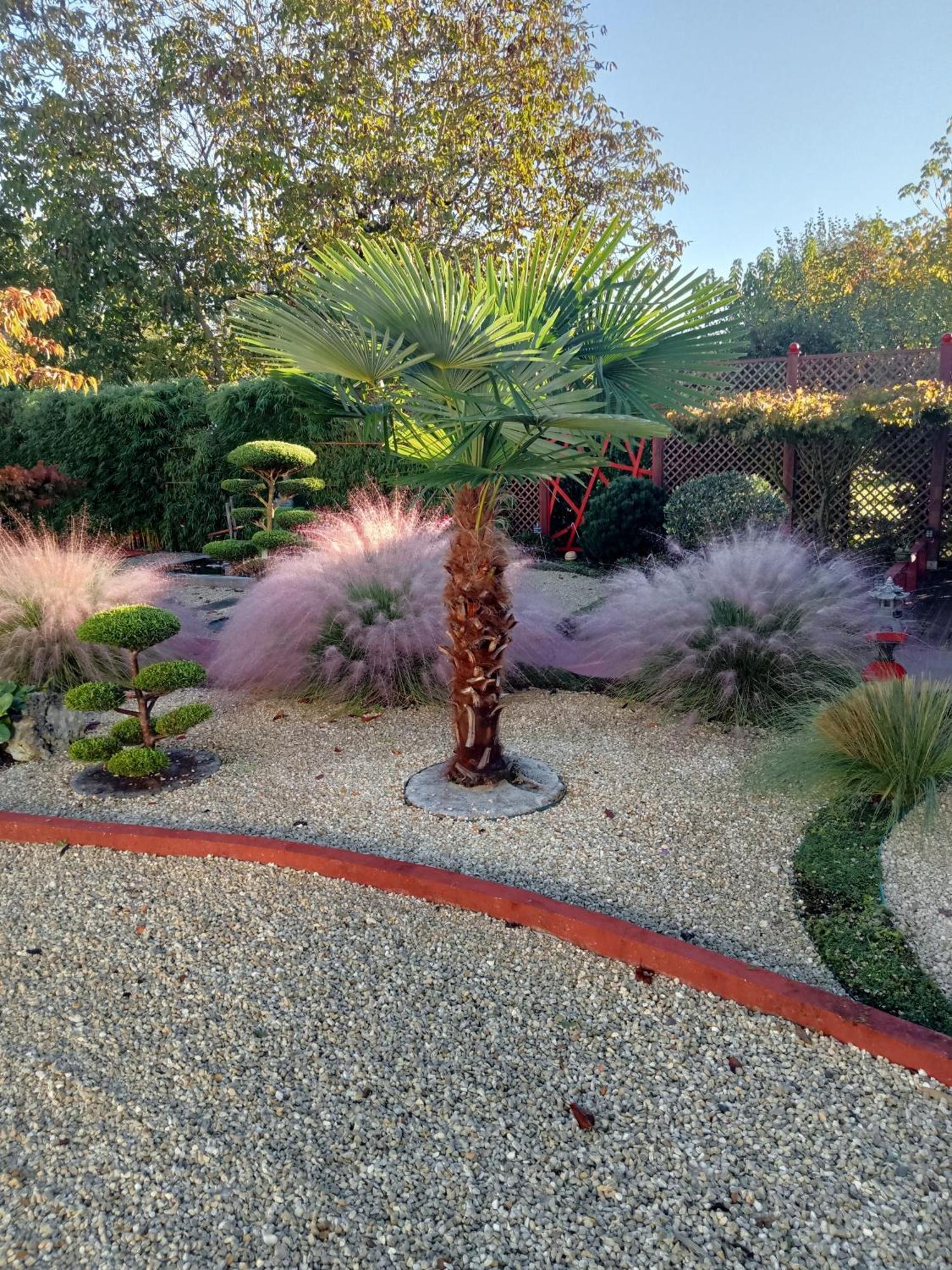 Une Pause Quelque Part Au Jardin Des Erables Et Des Niwakis Saint-Medard-de-Guizieres Εξωτερικό φωτογραφία