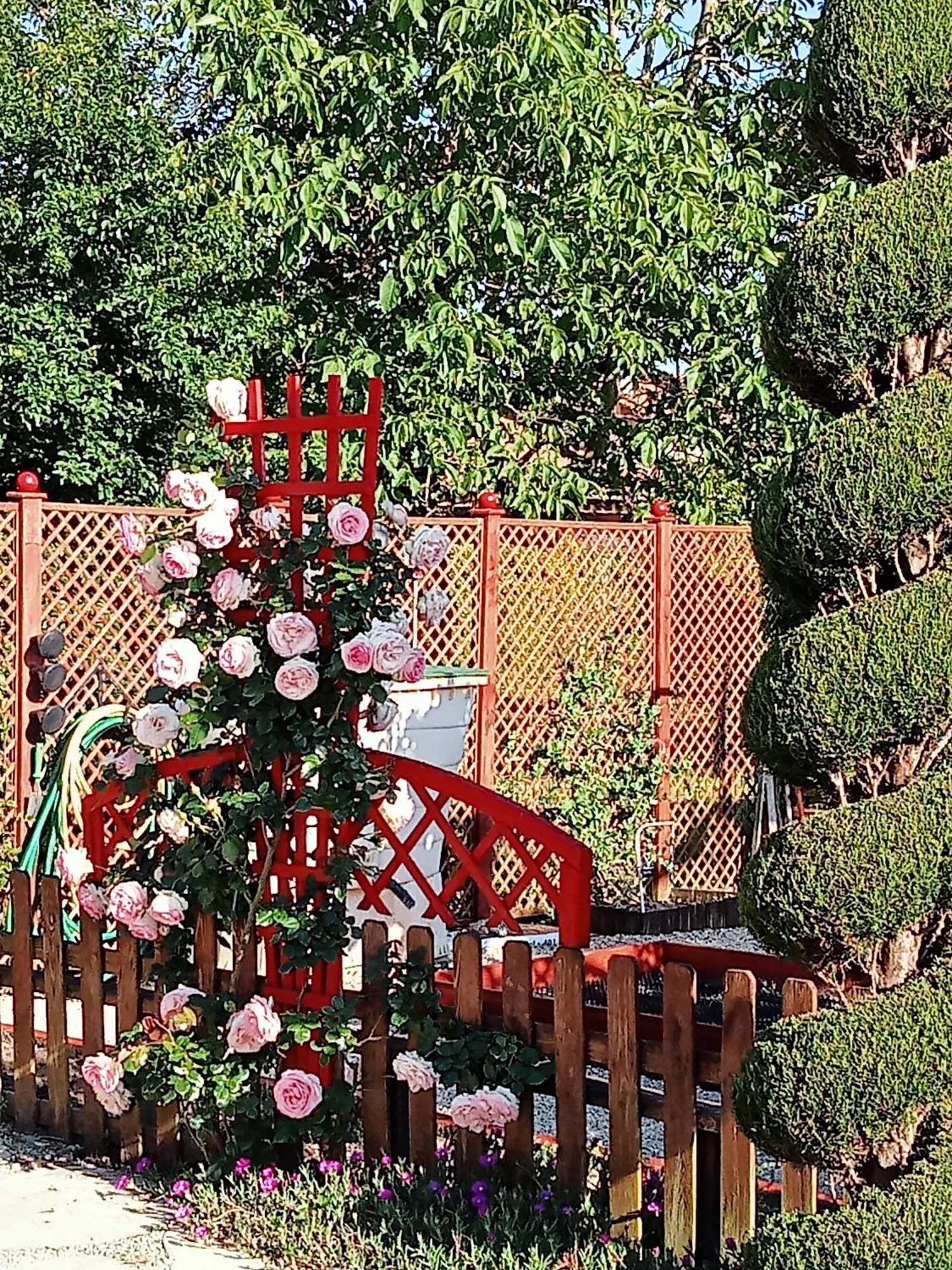 Une Pause Quelque Part Au Jardin Des Erables Et Des Niwakis Saint-Medard-de-Guizieres Εξωτερικό φωτογραφία